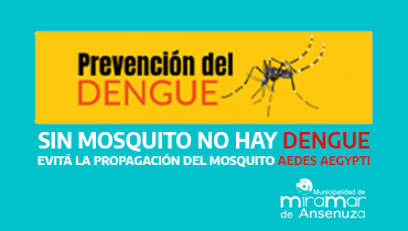 Que el mosquito no se críe en tu casa